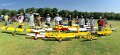 Cub Wannabe 2016